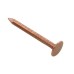 Clout Copper Nail - 2.65 x 38mm - 1kg Pack