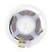 Integral LED 6W Flexible LED Strip Light - IP33 - 5000mm - 66 lumens - Blue
