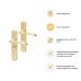 Hampstead Polished Brass Bathroom Door Handle - Long Plate - Altea Range - 240 x 41mm