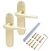 Hampstead Polished Brass Latch Door Handle - Naples Range - 182 x 40mm