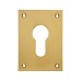 Souber Jumbo Escutcheon - 65.5 x 47.6mm - Euro - Polished Brass