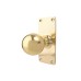 Exel School Room Pattern Mortice Door Knob on Backplate - 127 x 51mm - Polished Brass