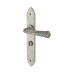 Olde Forge Pewter Gothic Bathroom Door Handle - Long Plate - 247 x 44mm