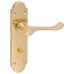 Exel Polished Brass Victorian Summer Scroll Bathroom Door Handle - 168 x 40mm