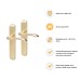 Hampstead Polished Brass Latch Door Handle - Long Plate - Altea Range - 240 x 41mm