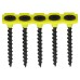 TIMCO Collated Coarse Thread Drywall Screws - 3.5 x 25mm - Black Phosphate - Pack of 1000