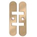 Numatic Concealed Jamb Door Closer Face Plate - Polished Brass