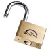 Squire Lion Open Shackle Padlock - 50mm Body - 30 x 28mm Shackle - Brass