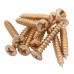 Exel Spare Casement Window Stay Screws - Polished Brass - Pack of 10