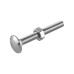 Carriage / Coach Bolt with Nut - M10 x 65mm - Zinc Plated - Pack of 5