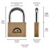 Squire Lion Open Shackle Padlock - 60mm Body - 35.5 x 33.5mm Shackle - Brass