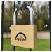 Squire Lion Open Shackle Padlock - 60mm Body - 35.5 x 33.5mm Shackle - Brass