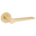 Jedo Satin Brass Fire Rated Door Handles on Round Rose - Geo Range 