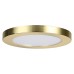 Forum Spa Tauri Magnetic Bezel for 12W Flush LED Bathroom Ceiling Light - Satin Brass