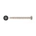 TIMCO Self Tapping Screw - Countersunk Head - 8 x 1 TIMCO Self Tapping Screw - Countersunk Head - 8 x 1