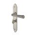Olde Forge Pewter Gothic Bathroom Door Handle - Long Plate - 247 x 44mm