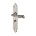 Olde Forge Pewter Gothic Bathroom Door Handle - Long Plate - 247 x 44mm