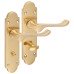 Exel Polished Brass Victorian Summer Scroll Bathroom Door Handle - 168 x 40mm