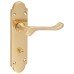 Exel Polished Brass Victorian Summer Scroll Bathroom Door Handle - 168 x 40mm