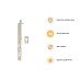 Exel Lever Action Flush Bolt - 200 x 20mm - Satin Stainless Steel