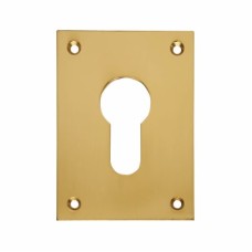 Souber Jumbo Escutcheon - 65.5 x 47.6mm - Euro - Polished Brass