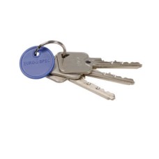 Eurospec 10 Pin Cylinder Key - Extra Differ Key