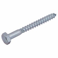 Coach Screw - M12 x 100mm - Zinc Plated ...