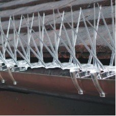 BirdBan Spikes - Pack of 6