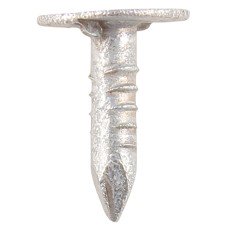 TIMCO Galvanised ELH Clout Nail - 3.0 x 25mm - 1kg Pack