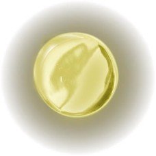 Mirror Screw Threaded Cap - Flat - 13mm Diameter - Brass