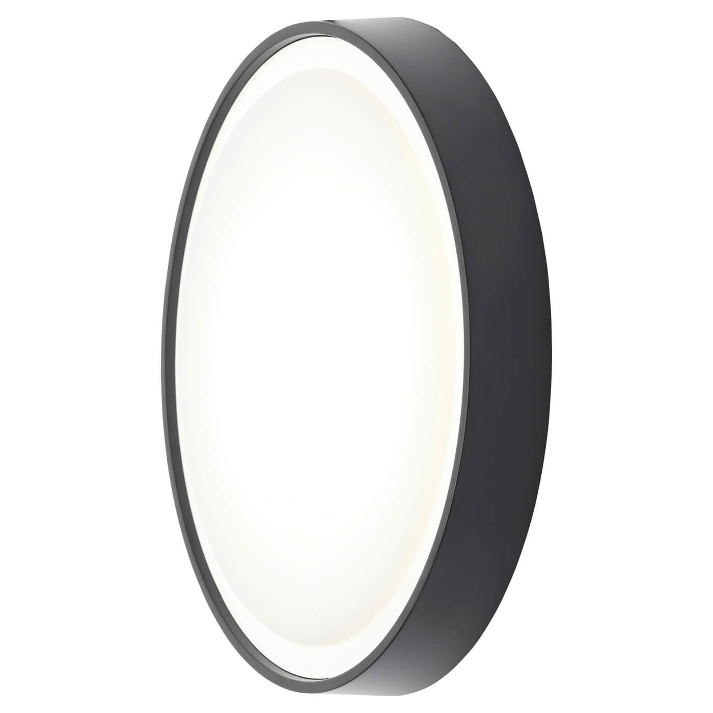 Forum Coast Ripon LED Round Outdoor Bulkhead Light - 310mm - IP65 - 4000K Cool White - Black - view 3