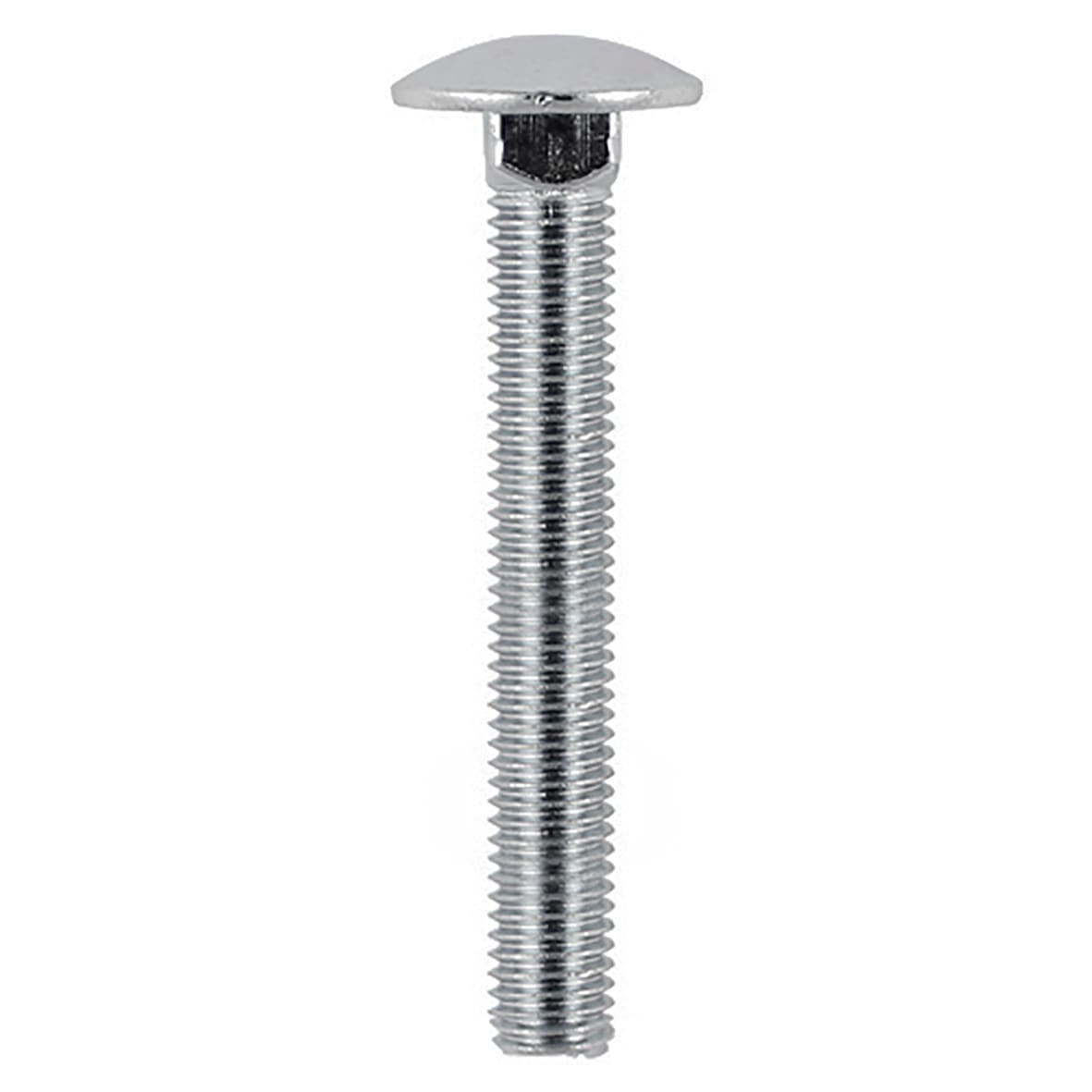 Carriage / Coach Bolt - M8 x 50mm - A2 Stainless Steel - Pack of 5 - view 2