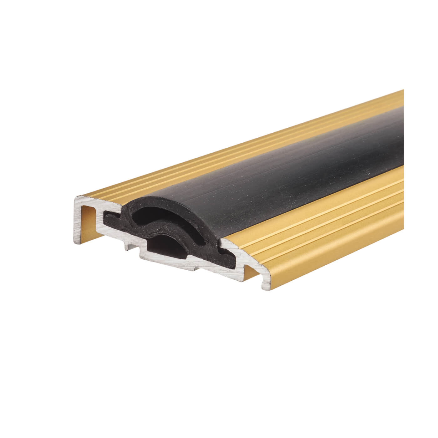 Cyclone Seal - 1000mm Length - TDG Threshold - Inward Opening Doors - Gold Anodised - view 2