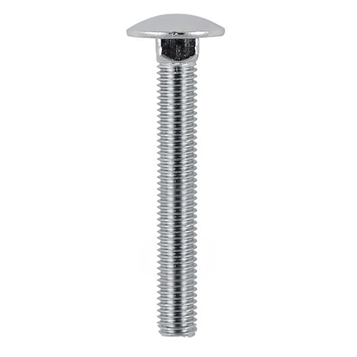 Carriage / Coach Bolt - M10 x 100mm - A2 Stainless Steel - Pack of 5 - view 2