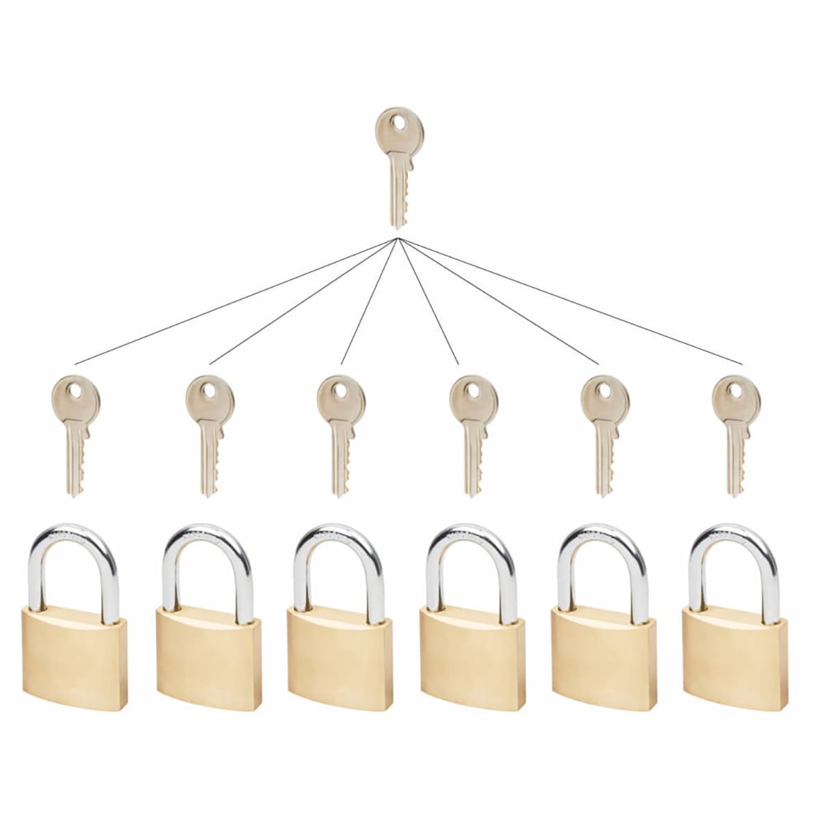Watchman by Squire Group of Master Keyed Padlocks - 40mm Body - 24 x 23mm Shackle - Brass - Pack of 12 - view 6