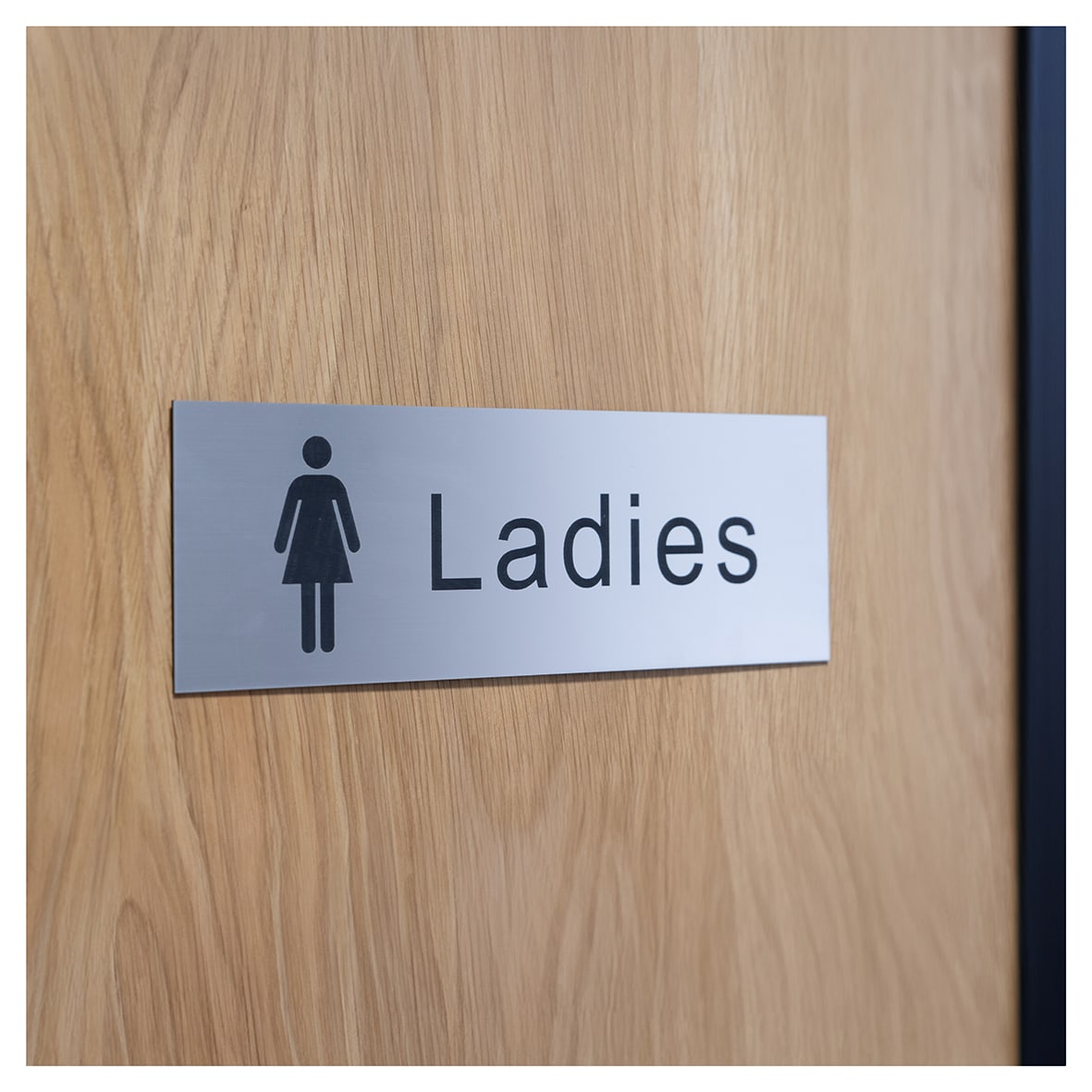 Ladies Toilet Door Sign - 300 x 100mm - Brushed Silver Plastic - view 2
