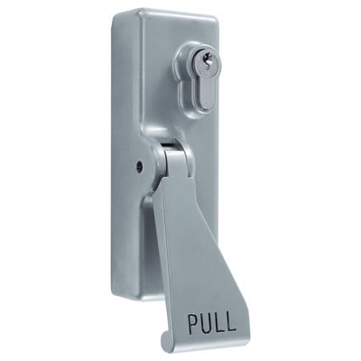 Outside Access Device with Cylinder - Lift Pad - Silver - view 2