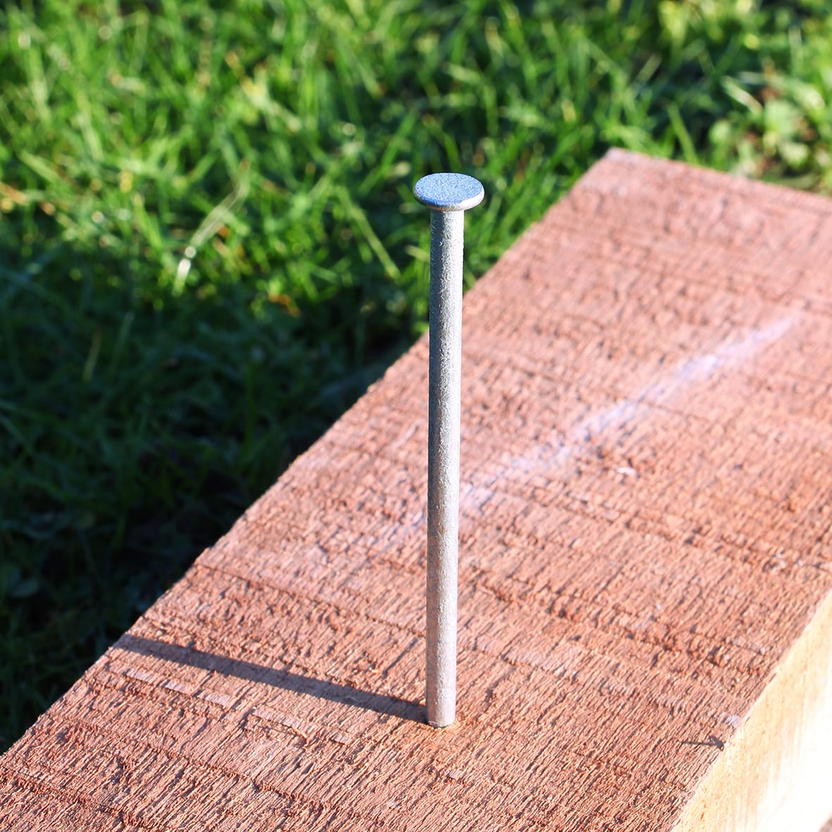 Galvanised Round Wire Nail - 2.65 x 65mm - 1kg Pack - view 3