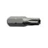 6-Lobe Pin Driver Insert Bit - Hex Drive T10 - view 2