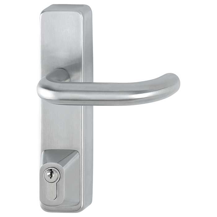Outside Access Device with Cylinder - Lever - Silver - view 2