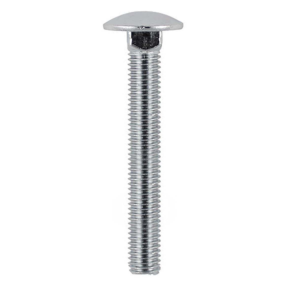 Carriage / Coach Bolt - M8 x 80mm - A2 Stainless Steel - Pack of 5 - view 2