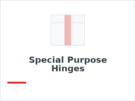 Special Purpose Hinges