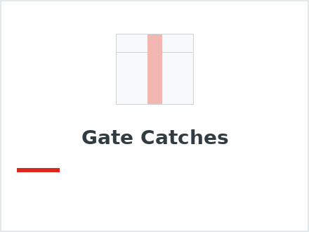 Gate Catches