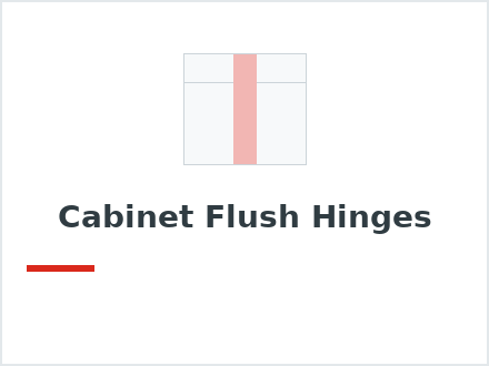 Cabinet Flush Hinges