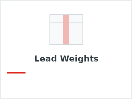 Lead Weights