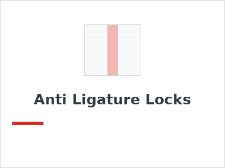 Anti Ligature Locks