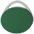 Dialock Tag-it Tech-Key Tag 36x5.3mm Grn