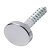 Mirror Screw+Cap Set Flat Disc Steel CP/PCP