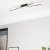 Eglo Panagria LED CL 2x13W 3K Black