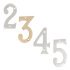 Numeral 9  76mm Zinc Alloy Polished Brass 987.18.098
